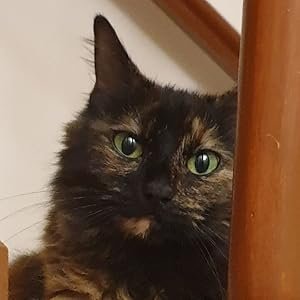 Profile image of Katherine West